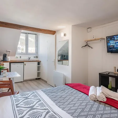 Apartment Le Prestige Hypercentre Grenoble