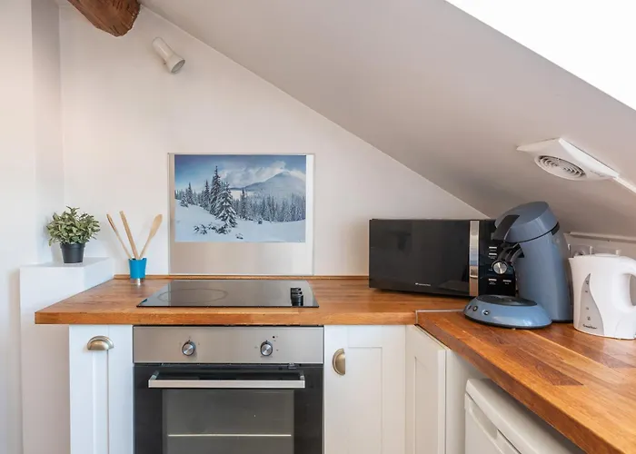 Le Prestige Hypercentre * グルノーブル